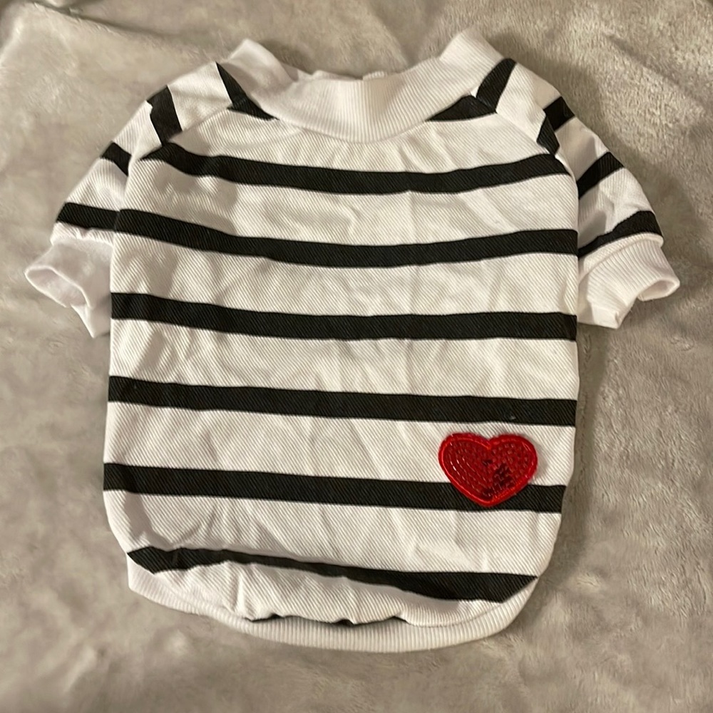 Pet shirt